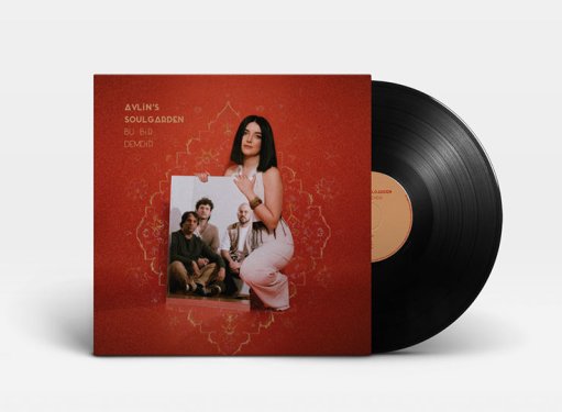 Aylin's Soulgarden - Bu bir demir 